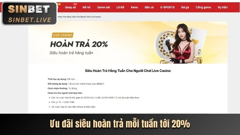 Cá cược thể thao VIP với tỷ lệ cược đặc biệt